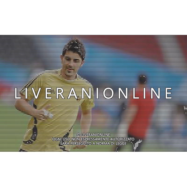 Allenamento Nazionale Spagnola a Vienna Vienna - 21.06.2008 Nella Foto:VILLA /Ph.Vitez-Ag. Aldo Liverani