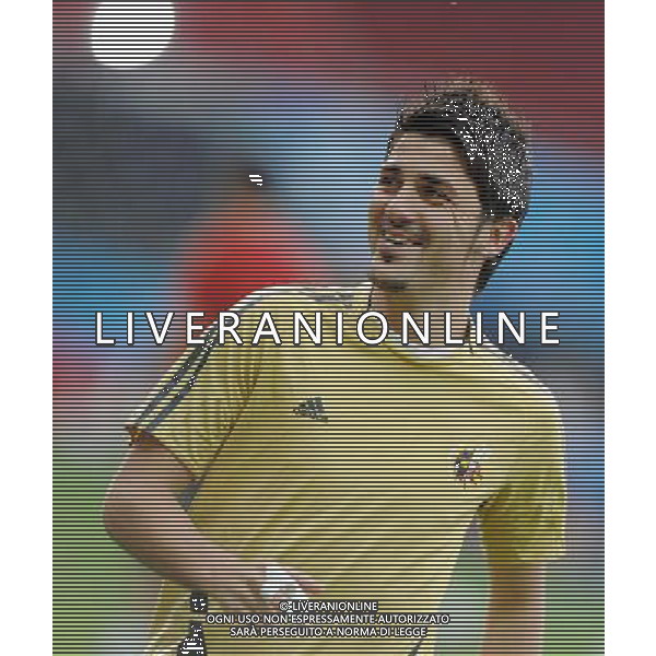 Allenamento Nazionale Spagnola a Vienna Vienna - 21.06.2008 Nella Foto:VILLA /Ph.Vitez-Ag. Aldo Liverani