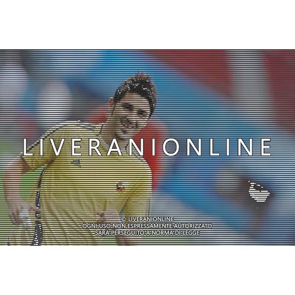 Allenamento Nazionale Spagnola a Vienna Vienna - 21.06.2008 Nella Foto:VILLA /Ph.Vitez-Ag. Aldo Liverani