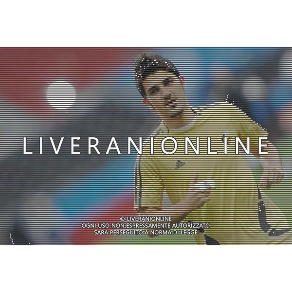 Allenamento Nazionale Spagnola a Vienna Vienna - 21.06.2008 Nella Foto:VILLA /Ph.Vitez-Ag. Aldo Liverani