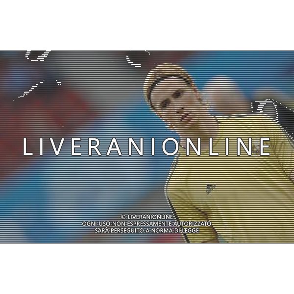 Allenamento Nazionale Spagnola a Vienna Vienna - 21.06.2008 Nella Foto:TORRES /Ph.Vitez-Ag. Aldo Liverani