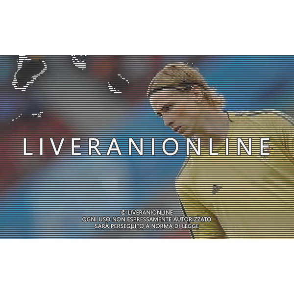 Allenamento Nazionale Spagnola a Vienna Vienna - 21.06.2008 Nella Foto:TORRES /Ph.Vitez-Ag. Aldo Liverani