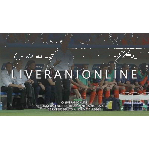 Olanda - Russia 21/06/2008 Europei basilea nella foto van basten Ph luzzani/Ag. Aldo Liverani Sas