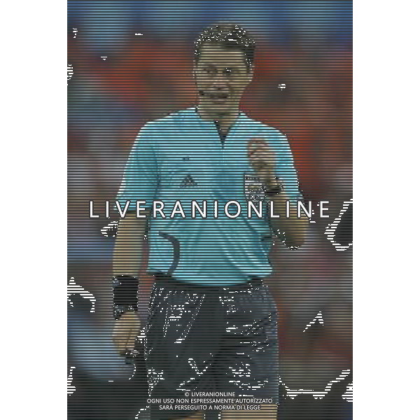 Olanda - Russia 21/06/2008 Europei basilea nella foto arbitro michel Ph luzzani/Ag. Aldo Liverani Sas