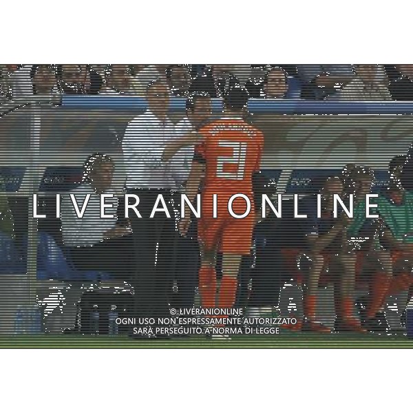 Olanda - Russia 21/06/2008 Europei basilea nella foto van basten Ph luzzani/Ag. Aldo Liverani Sas