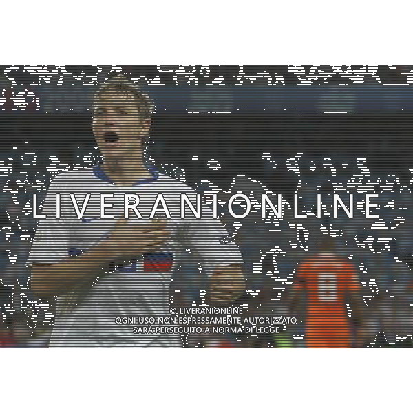 Olanda - Russia 21/06/2008 Europei basilea nella foto esultanza dopo il gol di pavlyuchenko del 0-1 Ph luzzani/Ag. Aldo Liverani Sas
