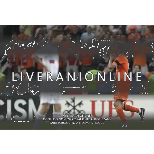 Olanda - Russia 21/06/2008 Europei basilea nella foto esultanza dopo il gol del pareggio di ruud van nilsterooy Ph luzzani/Ag. Aldo Liverani Sas