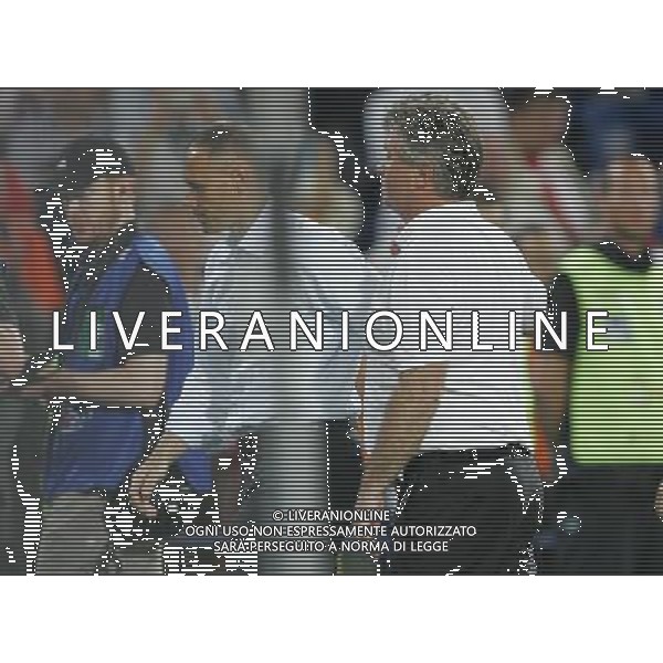 Olanda - Russia 21/06/2008 Europei basilea nella foto il saluto di gus hiddink e marco van basten a fine gara Ph luzzani/Ag. Aldo Liverani Sas