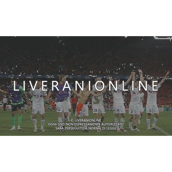 Olanda - Russia 21/06/2008 Europei basilea nella foto l\'esultanza dei giocatori della russia a fine gara Ph luzzani/Ag. Aldo Liverani Sas