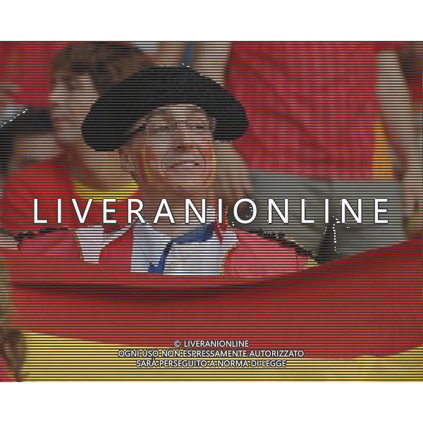 UEFA EURO 2008 Quarti di Finale M28 - Spagna-Italia Vienna - 22.06.2008 Spagna-Italia Nella Foto:TIFOSI SPAGNA /Ph.Vitez-Ag. Aldo Liverani