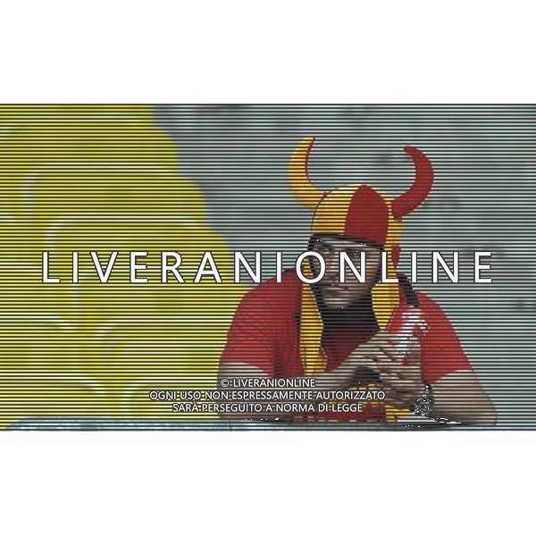 UEFA EURO 2008 Quarti di Finale M28 - Spagna-Italia Vienna - 22.06.2008 Spagna-Italia Nella Foto:TIFOSI SPAGNA /Ph.Vitez-Ag. Aldo Liverani