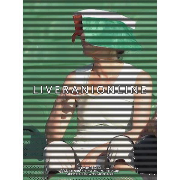 UEFA EURO 2008 Quarti di Finale M28 - Spagna-Italia Vienna - 22.06.2008 Spagna-Italia Nella Foto:TIFOSI ITALIA /Ph.Vitez-Ag. Aldo Liverani