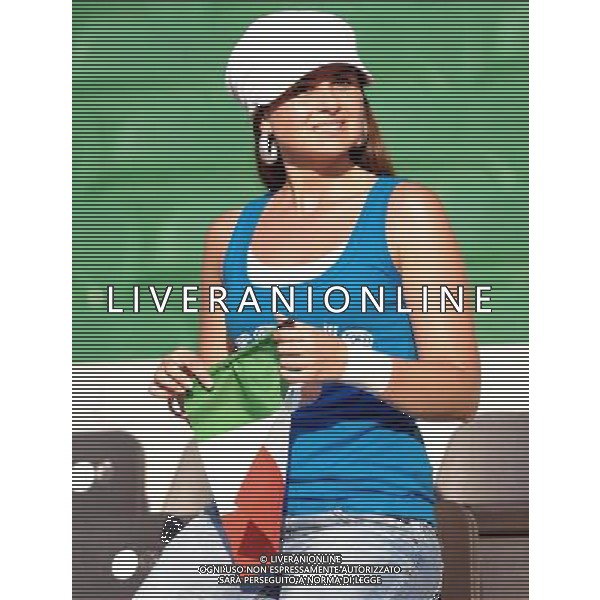 UEFA EURO 2008 Quarti di Finale M28 - Spagna-Italia Vienna - 22.06.2008 Spagna-Italia Nella Foto:TIFOSI ITALIA /Ph.Vitez-Ag. Aldo Liverani