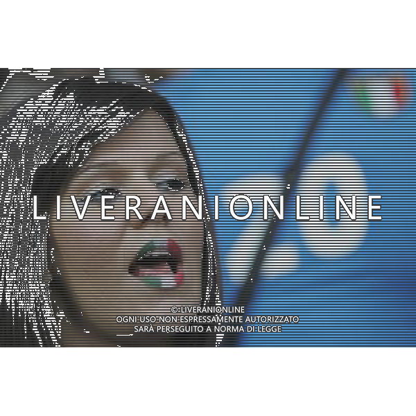 Spagna - Italia Europei 22/06/2008 Vienna nella foto tifosi italia ph luzzani/Ag. Aldo Liverani Sas