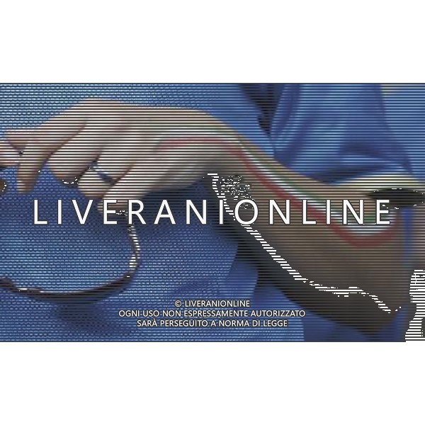 Spagna - Italia Europei 22/06/2008 Vienna nella foto tifosi italia ph luzzani/Ag. Aldo Liverani Sas