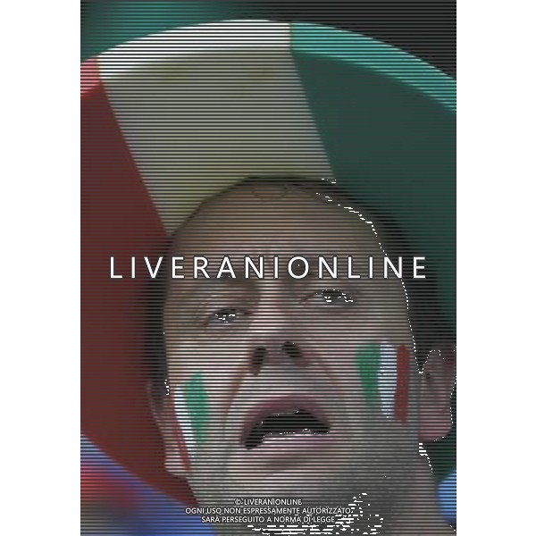 Spagna - Italia Europei 22/06/2008 Vienna nella foto tifosi italia ph luzzani/Ag. Aldo Liverani Sas