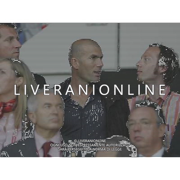 Spagna - Italia Europei 22/06/2008 Vienna nella foto Zinedine Zidane ph luzzani/Ag. Aldo Liverani Sas