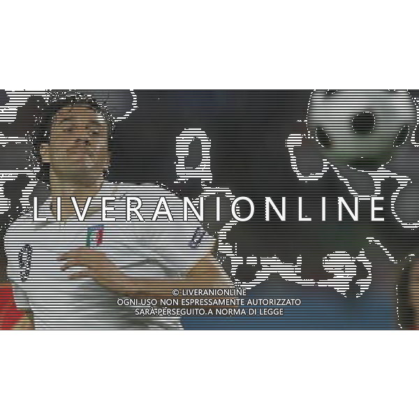 Spagna - Italia Europei 22/06/2008 Vienna nella foto luca toni ph luzzani/Ag. Aldo Liverani Sas