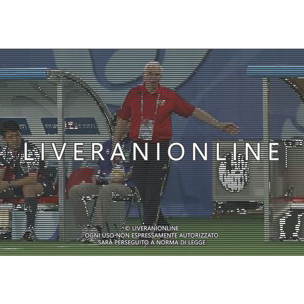 Spagna - Italia Europei 22/06/2008 Vienna nella foto luis aragones ph luzzani/Ag. Aldo Liverani Sas