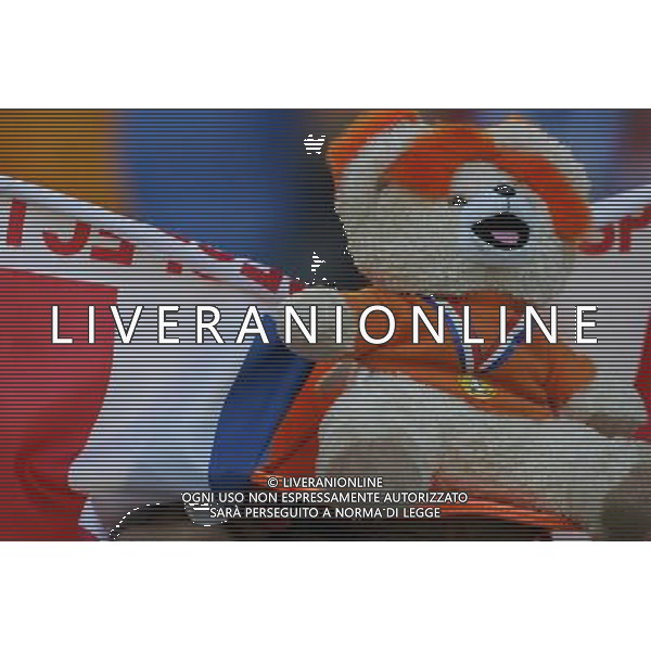 Basilea (CH) 21-06-2008 Campionato europeo calcio EURO2008 quarti di finale olanda-russia 1:3 nella foto tifo olanda ph marco luzzani/ag aldo liverani s.a.s.