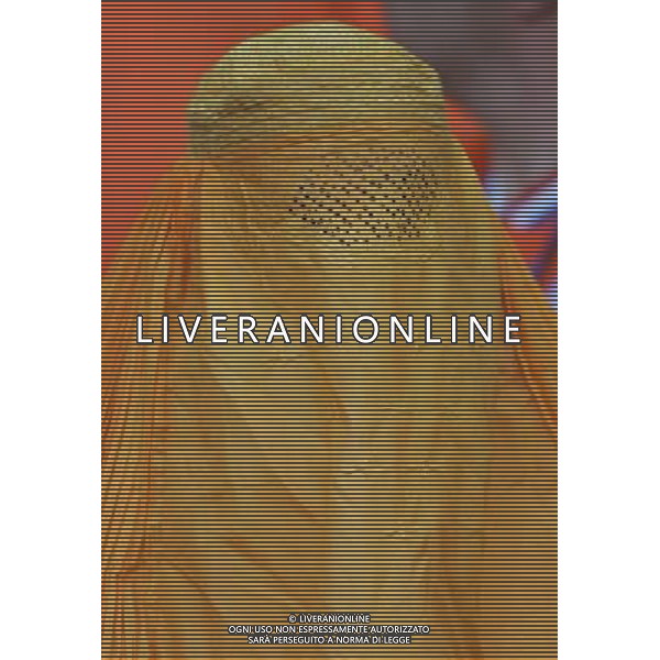 Basilea (CH) 21-06-2008 Campionato europeo calcio EURO2008 quarti di finale olanda-russia 1:3 nella foto tifo olanda ph marco luzzani/ag aldo liverani s.a.s.