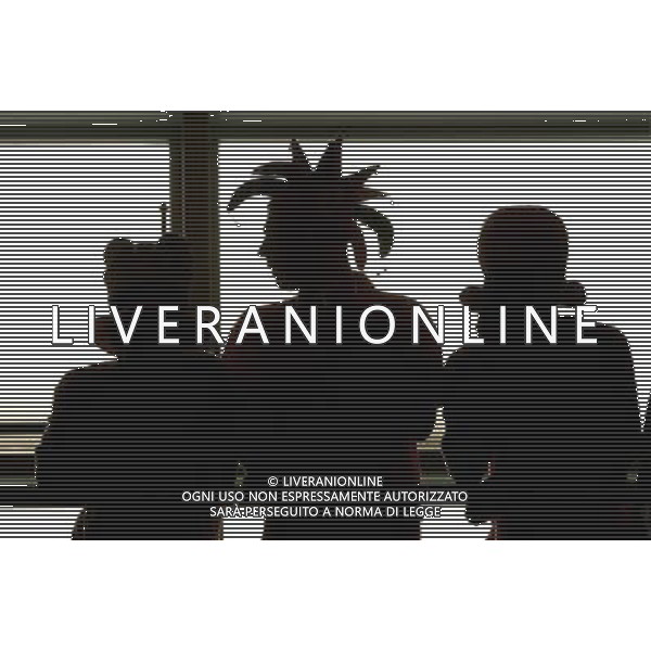 Basilea (CH) 21-06-2008 Campionato europeo calcio EURO2008 quarti di finale olanda-russia 1:3 nella foto tifo olanda ph marco luzzani/ag aldo liverani s.a.s.