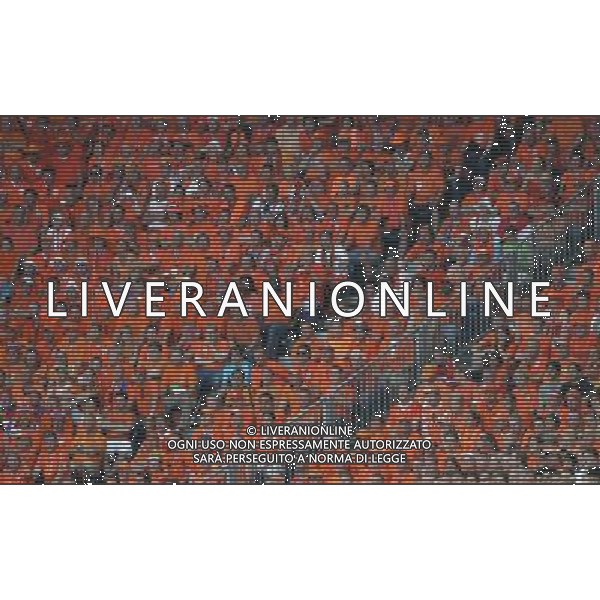 Basilea (CH) 21-06-2008 Campionato europeo calcio EURO2008 quarti di finale olanda-russia 1:3 nella foto tifo olanda ph marco luzzani/ag aldo liverani s.a.s.