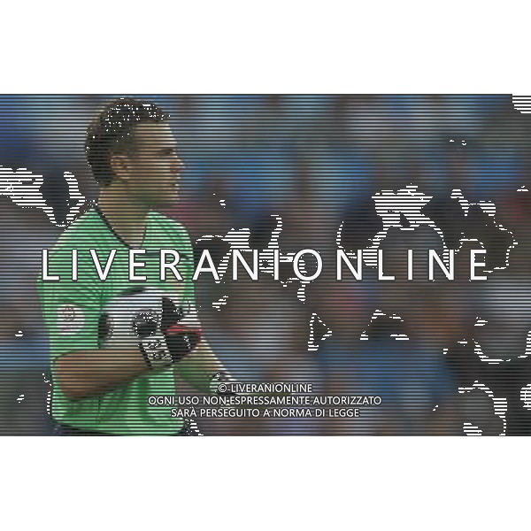 Basilea (CH) 21-06-2008 Campionato europeo calcio EURO2008 quarti di finale olanda-russia 1:3 nella foto igor akinfeev ph marco luzzani/ag aldo liverani s.a.s.