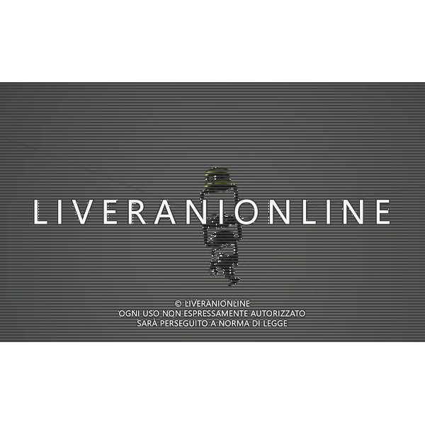 Basilea (CH) 21-06-2008 Campionato europeo calcio EURO2008 quarti di finale olanda-russia 1:3 nella foto la telecamera aerea ph marco luzzani/ag aldo liverani s.a.s.