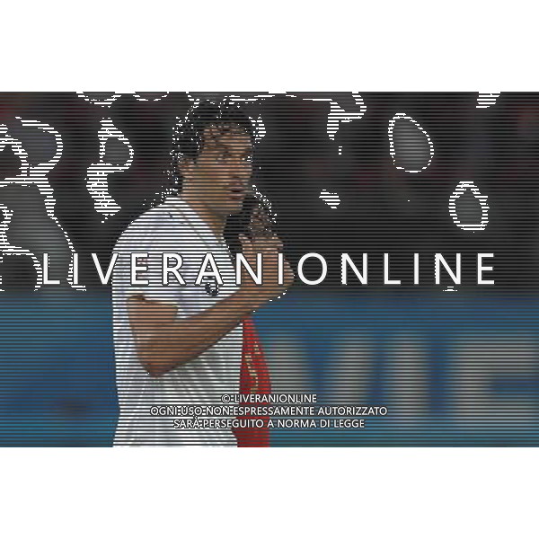 UEFA EURO 2008 Quarti di Finale M28 - Spagna-Italia Vienna - 22.06.2008 Spagna-Italia Nella Foto:TONI /Ph.Vitez-Ag. Aldo Liverani