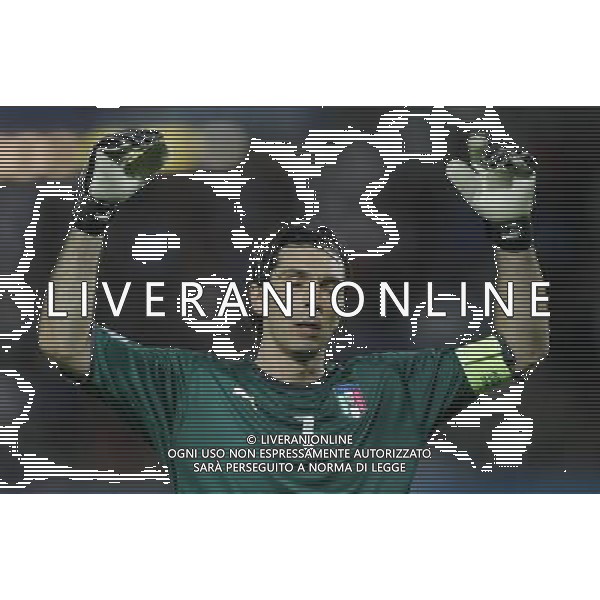 Spagna - Italia Europei 22/06/2008 Vienna nella foto la delusione di gianluigi buffon ph luzzani/Ag. Aldo Liverani Sas