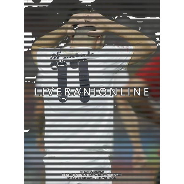 Spagna - Italia Europei 22/06/2008 Vienna nella foto la delusione di antonio di natale ph luzzani/Ag. Aldo Liverani Sas