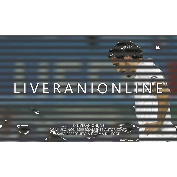 Spagna - Italia Europei 22/06/2008 Vienna nella foto la delusione di gianluca zambrotta ph luzzani/Ag. Aldo Liverani Sas