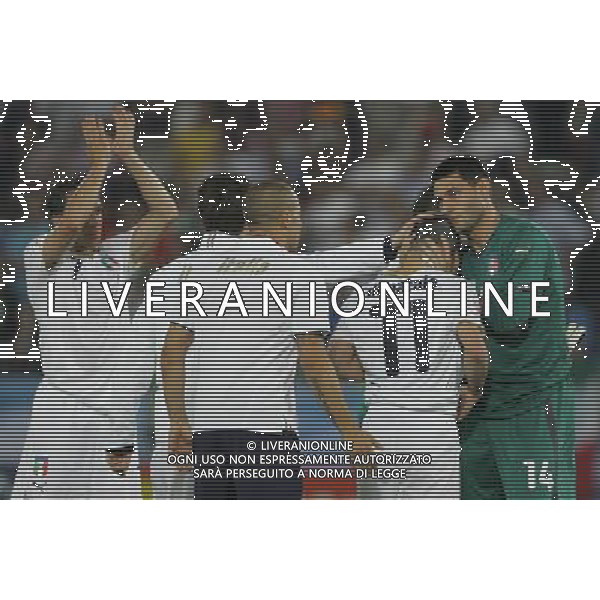 Spagna - Italia Europei 22/06/2008 Vienna nella foto la delusione dei giocatori italiani a fine gara - marco amelia consola antonio di natale ph luzzani/Ag. Aldo Liverani Sas