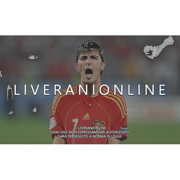 UEFA EURO 2008 Quarti di Finale M28 - Spagna-Italia Vienna - 22.06.2008 Spagna-Italia Nella Foto:VILLA ESULTA DOPO IL RIGORE /Ph.Vitez-Ag. Aldo Liverani