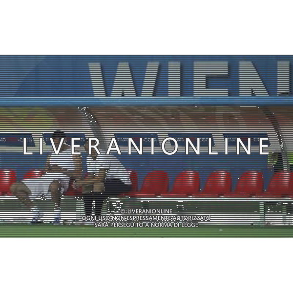 Spagna - Italia Europei 22/06/2008 Vienna nella foto la delusione dei giocatori italiani a fine gara - fabio cannavaro e marco materazzi in panchina ph luzzani/Ag. Aldo Liverani Sas