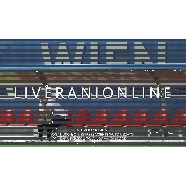 Spagna - Italia Europei 22/06/2008 Vienna nella foto la delusione dei giocatori italiani a fine gara - fabio cannavaro in panchina ph luzzani/Ag. Aldo Liverani Sas