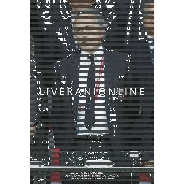 Vienna (AUT) 22-06-2008 Campionato europeo calcio EURO2008 quarto di finale spagna-italia nella foto giancarlo abete ph marco luzzani/ag aldo liverani s.a.s.