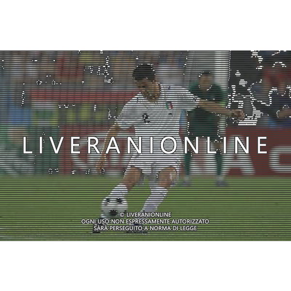 Vienna (AUT) 22-06-2008 Campionato europeo calcio EURO2008 quarto di finale spagna-italia nella foto christian panucci ph marco luzzani/ag aldo liverani s.a.s.