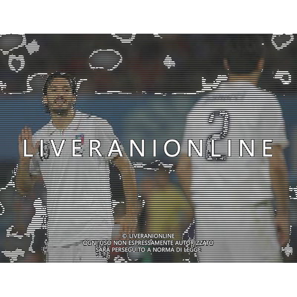 Vienna (AUT) 22-06-2008 Campionato europeo calcio EURO2008 quarto di finale spagna-italia nella foto gianluca zambrotta e christian panucci ph marco luzzani/ag aldo liverani s.a.s.