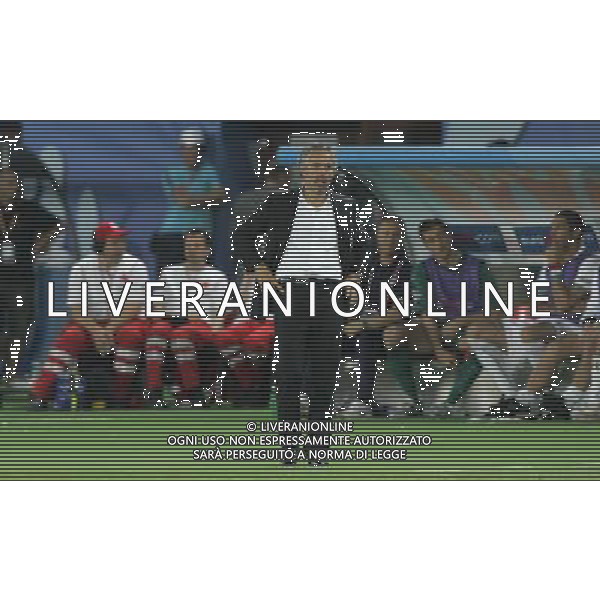 Vienna (AUT) 22-06-2008 Campionato europeo calcio EURO2008 quarto di finale spagna-italia nella foto roberto donadoni ph marco luzzani/ag aldo liverani s.a.s.