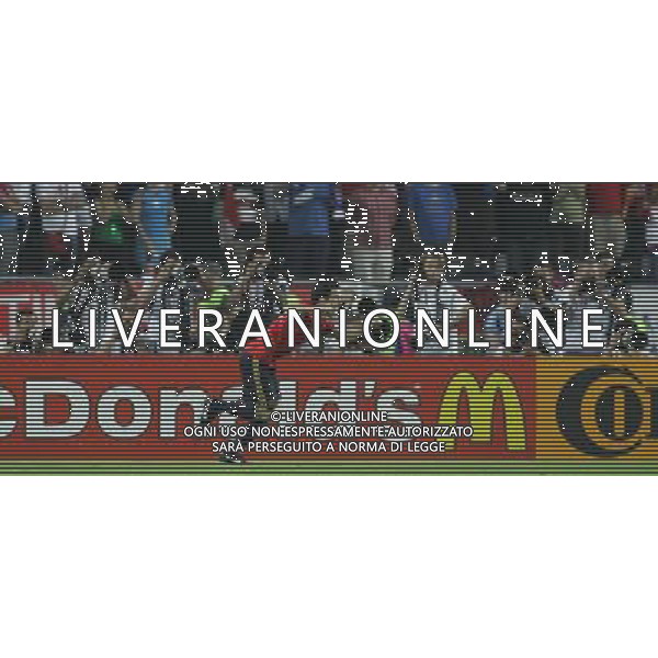 Vienna (AUT) 22-06-2008 Campionato europeo calcio EURO2008 quarto di finale spagna-italia nella foto esultanza cesc fabregas ph marco luzzani/ag aldo liverani s.a.s.