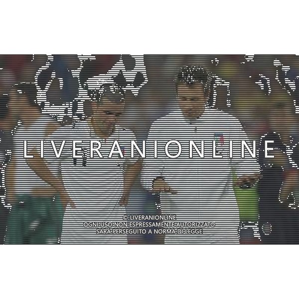 Vienna (AUT) 22-06-2008 Campionato europeo calcio EURO2008 quarto di finale spagna-italia nella foto antonio cassano consola antonio di natale ph marco luzzani/ag aldo liverani s.a.s.