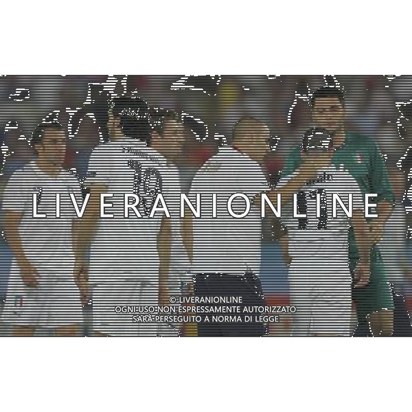 Vienna (AUT) 22-06-2008 Campionato europeo calcio EURO2008 quarto di finale spagna-italia nella foto fabio cannavaro consola antonio di natale ph marco luzzani/ag aldo liverani s.a.s.