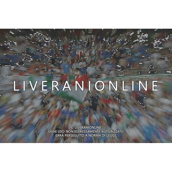 Vienna (AUT) 22-06-2008 Campionato europeo calcio EURO2008 quarto di finale spagna-italia nella foto tifo italia ph marco luzzani/ag aldo liverani s.a.s.