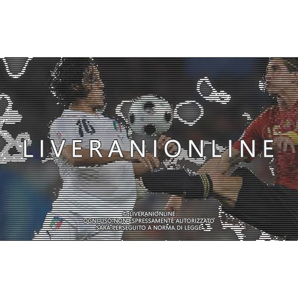 UEFA EURO 2008 Quarti di Finale M28 - Spagna-Italia Vienna - 22.06.2008 Spagna-Italia Nella Foto:CAMONARESI MAURO /Ph.Vitez-Ag. Aldo Liverani