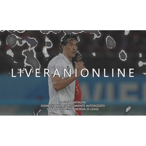 UEFA EURO 2008 Quarti di Finale M28 - Spagna-Italia Vienna - 22.06.2008 Spagna-Italia Nella Foto:TONI LUCA /Ph.Vitez-Ag. Aldo Liverani