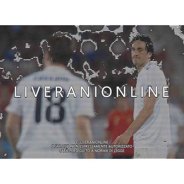 UEFA EURO 2008 Quarti di Finale M28 - Spagna-Italia Vienna - 22.06.2008 Spagna-Italia Nella Foto:TONI LUCA /Ph.Vitez-Ag. Aldo Liverani