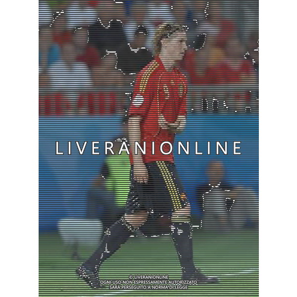 UEFA EURO 2008 Quarti di Finale M28 - Spagna-Italia Vienna - 22.06.2008 Spagna-Italia Nella Foto:TORRES FERNANDO /Ph.Vitez-Ag. Aldo Liverani