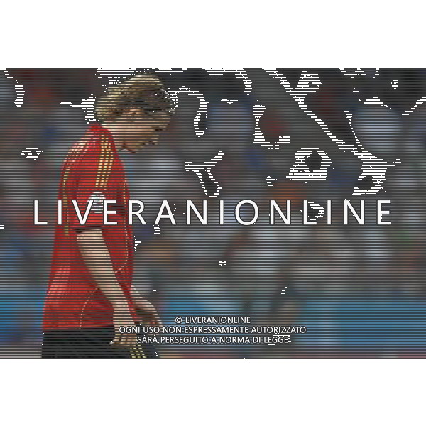 UEFA EURO 2008 Quarti di Finale M28 - Spagna-Italia Vienna - 22.06.2008 Spagna-Italia Nella Foto:TORRES FERNANDO /Ph.Vitez-Ag. Aldo Liverani